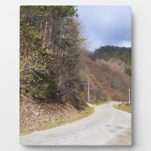 Bergwaldstraße - Wilde Natur Rumänien Fotoplatte