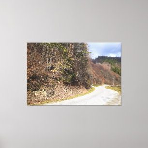 Bergwaldstraße - Wilde Natur Rumänien Leinwanddruck