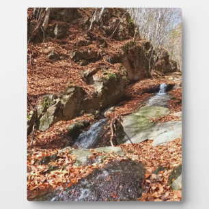 Bergwasserfall - Wilde Natur Rumänien Fotoplatte