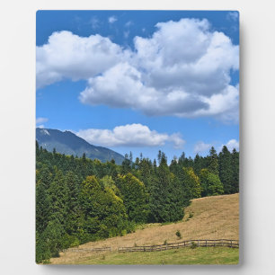 Bergwiesenlandschaft - Wilde Natur Rumänien Fotoplatte