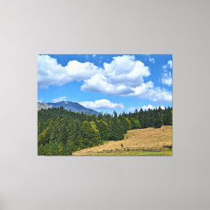 Bergwiesenlandschaft - Wilde Natur Rumänien Leinwanddruck