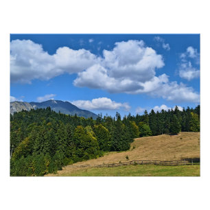 Bergwiesenlandschaft - Wilde Natur Rumänien Poster