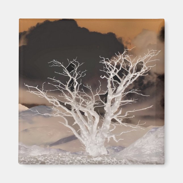 BERGWINTER MAGNET (Vorne)