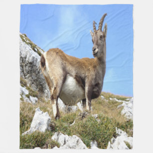 Bergziege Fleecedecke