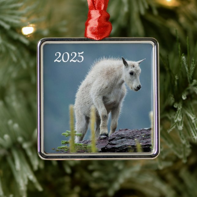 Bergziege, Glacier National Park, Montana Ornament Aus Metall (Baum)