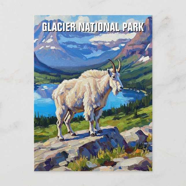 Bergziege im Glacier Nationalpark Reisen Postkarte (Vorderseite)