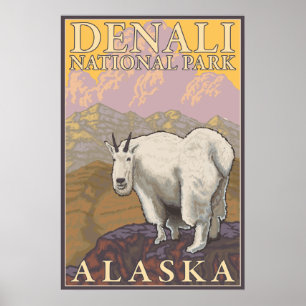 Bergziege - Nationalpark Denali, Alaska Poster