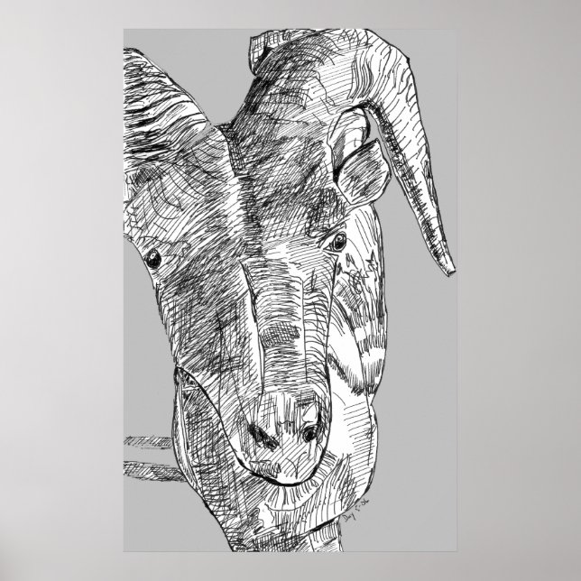 Bergziege Poster (Vorne)