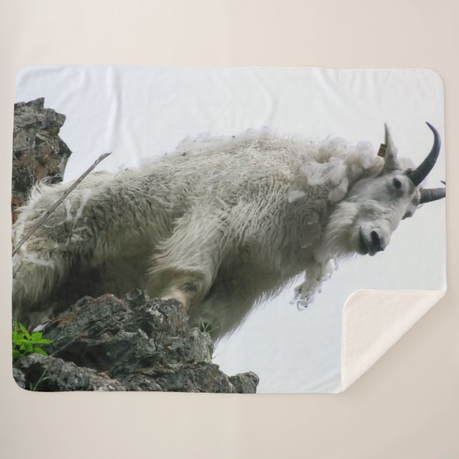BERGZIEGE SHERPADECKE (Vorderseite (Horizontal))