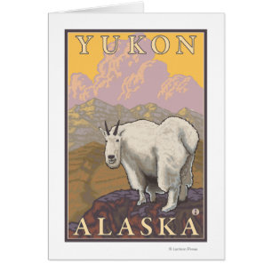 Bergziege - Yukon, Alaska