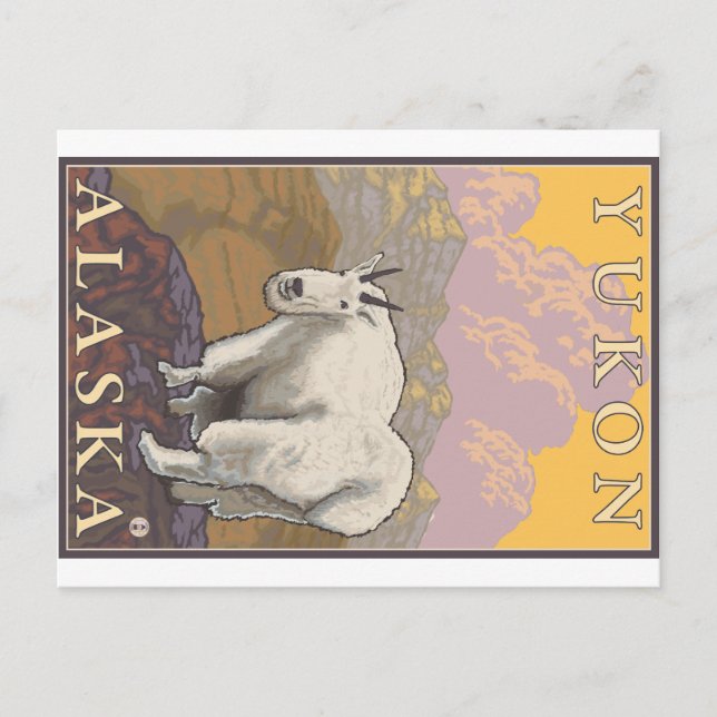 Bergziege - Yukon, Alaska Postkarte (Vorderseite)