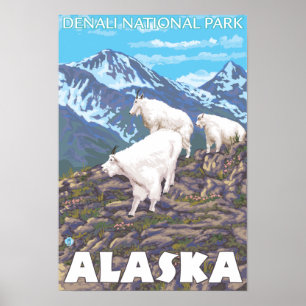 Bergziegen-Szene - Nationalpark Denali, Poster