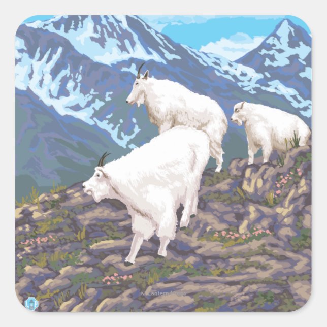 Bergziegen-Szene - Sitka, Alaska Quadratischer Aufkleber (Vorderseite)