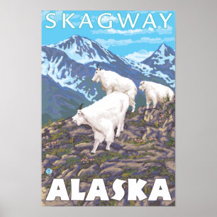Bergziegen-Szene - Skagway, Alaska Poster
