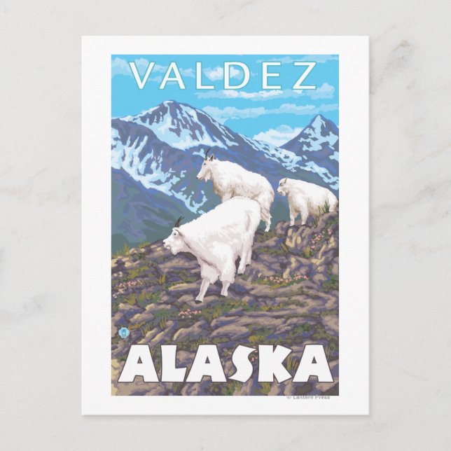 Bergziegen-Szene - Valdez, Alaska Postkarte (Vorderseite)