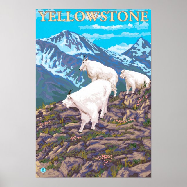 Bergziegen-Szene - Yellowstone-Nationalpark Poster (Vorne)