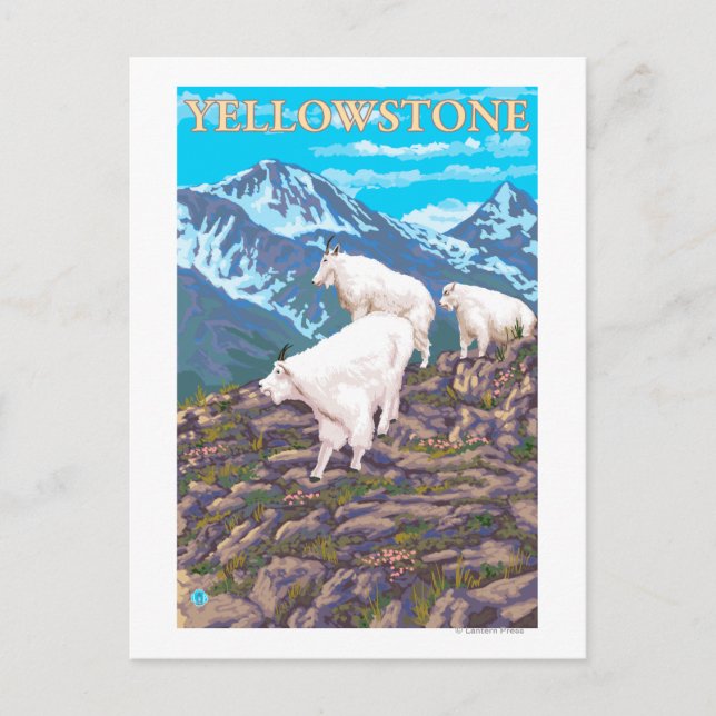 Bergziegen-Szene - Yellowstone-Nationalpark Postkarte (Vorderseite)