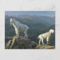 Bergziegen von Albert Bierstadt