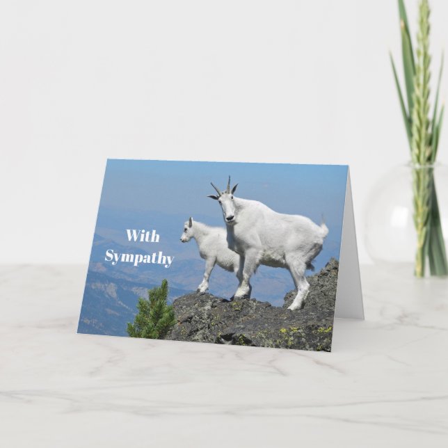 Bergziegen Weiße Wildtiere Foto Beileid Karte (Vorderseite)