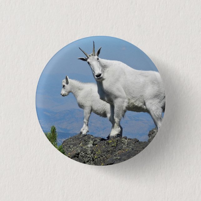Bergziegen Weiße Wildtiere Foto Button (Vorderseite)