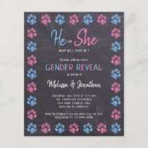 Bericht über das Geschlecht bei der Haushaltslinie