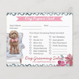 Bericht über die Erdung von Hunden in Rosa und Bla Flyer