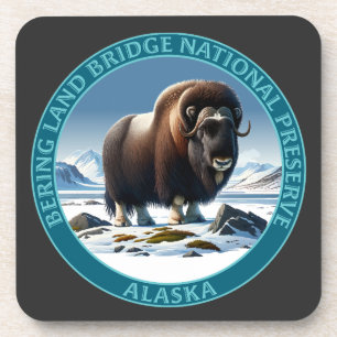 Bering Land Bridge Nationalpark Alaska Getränkeuntersetzer