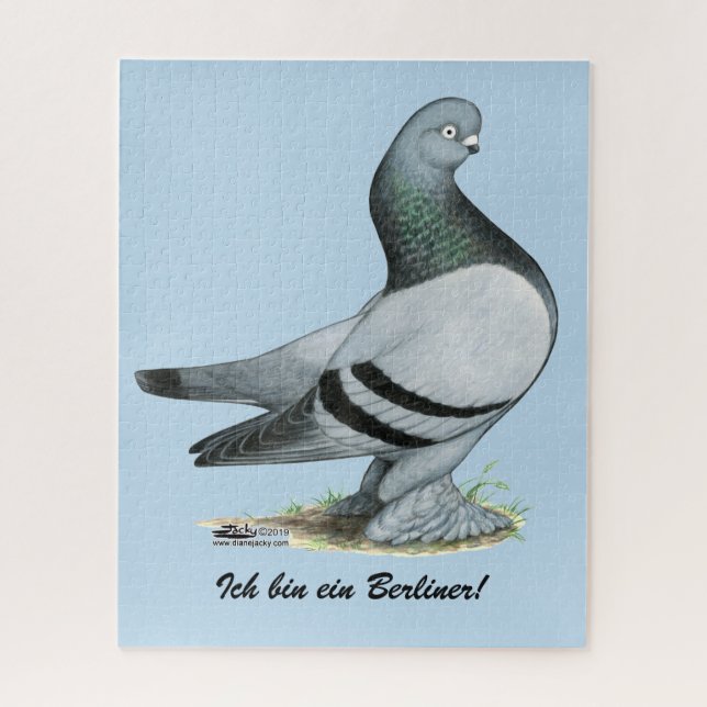 Berliner Tumbler Pigeon Blue Bar (Vertikal)