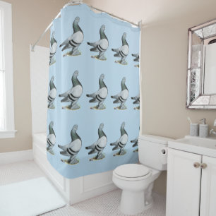 Berliner Tumbler Pigeon Blue Bar Duschvorhang