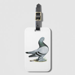 Berliner Tumbler Pigeon Blue Bar Gepäckanhänger