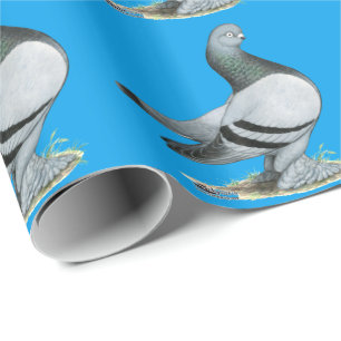 Berliner Tumbler Pigeon Blue Bar Geschenkpapier