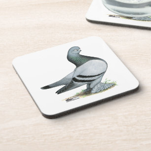 Berliner Tumbler Pigeon Blue Bar Getränkeuntersetzer