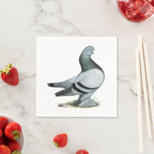 Berliner Tumbler Pigeon Blue Bar Serviette