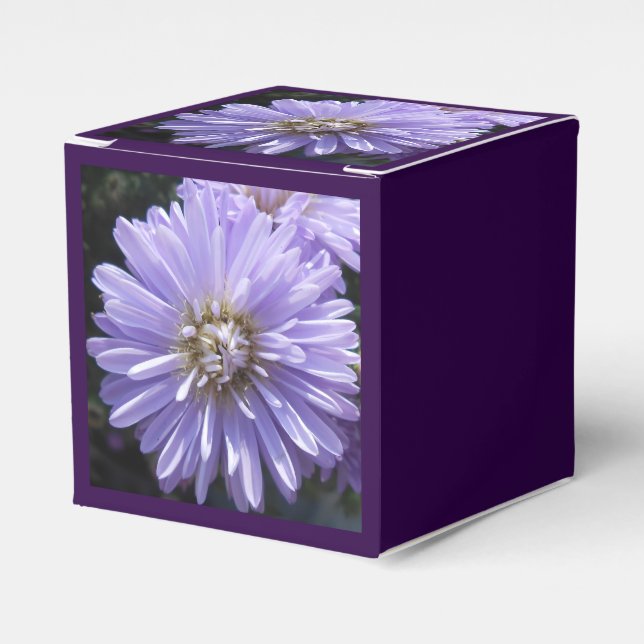 Berlinette Geschenkschachtel (Vorderseite)