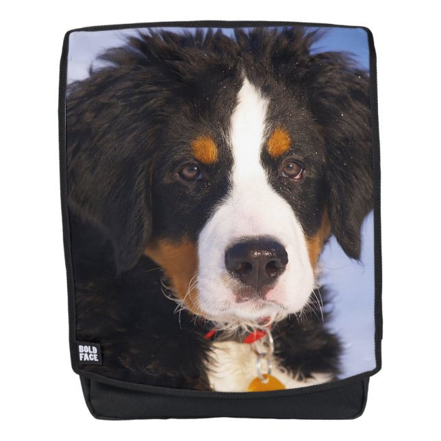 Bermese Mountain Dog Rucksack (Vorderseite)