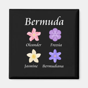 Bermuda-Blume-Symbole - Farbe Magnet