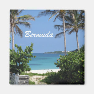 Bermuda Magnet