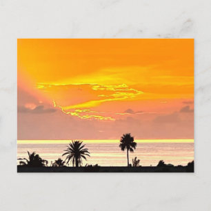 Bermuda Sunset Postcard Postkarte