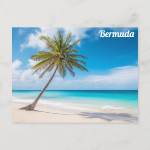 Bermuda Tropical Beach Ocean Palm Tree Reisen Postkarte