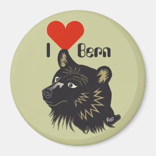 Bern Bern Bern Bern Schweiz Suisse Svizzera Svizra Magnet