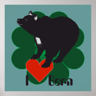 Bern, Berne, Berna, Bärn, Schweiz, Suisse, Poster