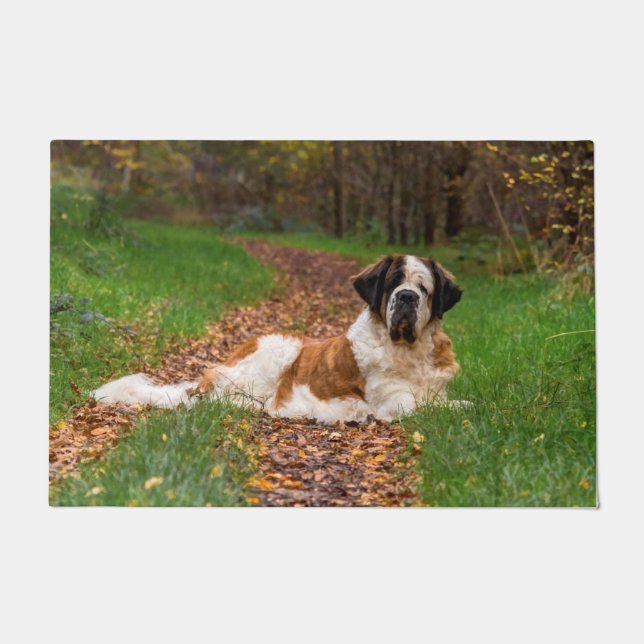 Bernard-Hund im Herbst Fußmatte (Vorderseite)