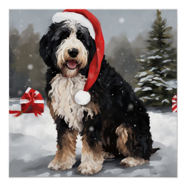 Bernedoodle Dog in Schnee Weihnachten Poster (Vorderseite)