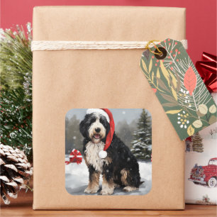 Bernedoodle-Hund im Schnee Weihnachten Quadratischer Aufkleber