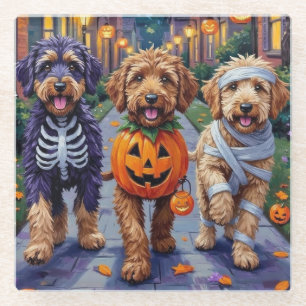 Bernedoodle Hunde beim Trick-or-Treat an Halloween Glasuntersetzer
