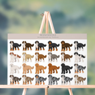 Bernedoodle-Hundemischung Acrylschild
