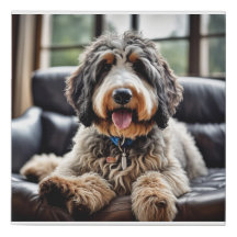 Bernedoodle Leinwand Portrait