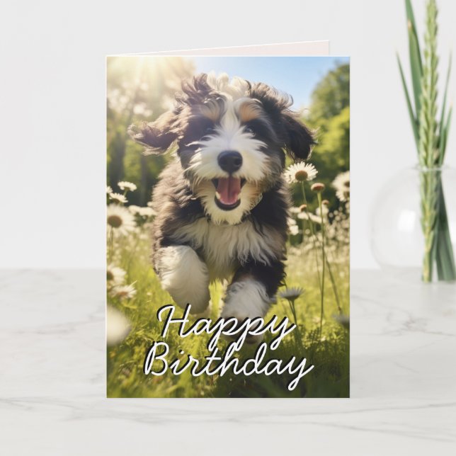Bernedoodle personnalisé Bonne carte d'anniversair (Devant)