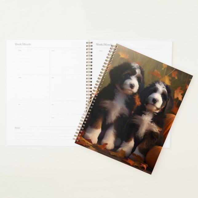 Bernedoodle Puppy Autumn Delight Pumpkin Planer (Anzeige)