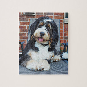 Bernedoodle-Puzzle
